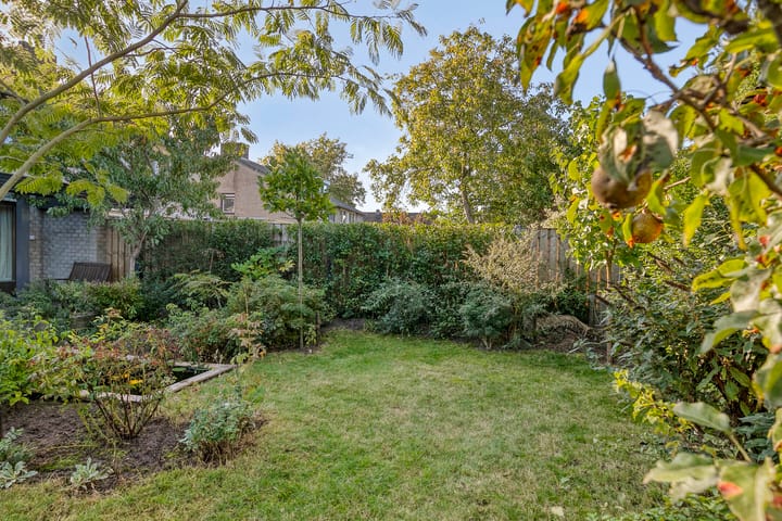 Foto 40 van Aurora 9