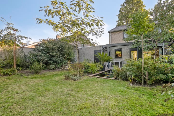 Foto 42 van Aurora 9