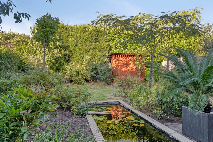 Foto 39 van Aurora 9