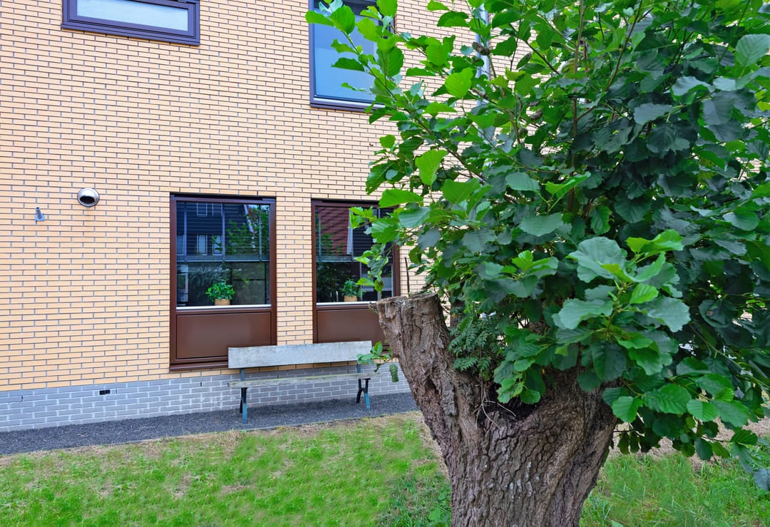 Foto 8 van Zeijerveen 9