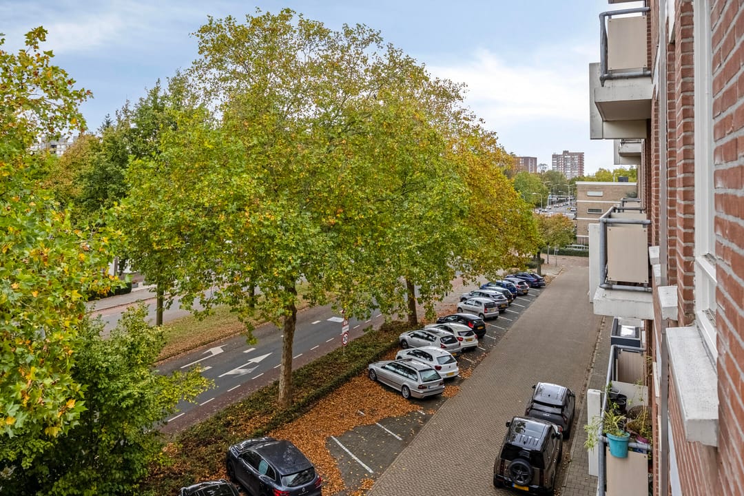 Foto 17 van Europalaan 20