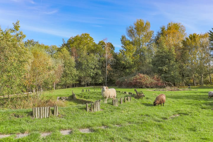 Photo 12 of Oosterdijk 34-E