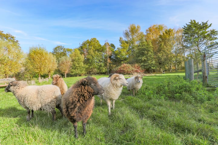 Photo 54 of Oosterdijk 34-E