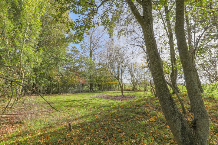 Photo 55 of Oosterdijk 34-E