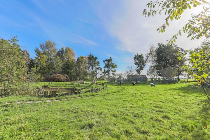 Photo 58 of Oosterdijk 34-E