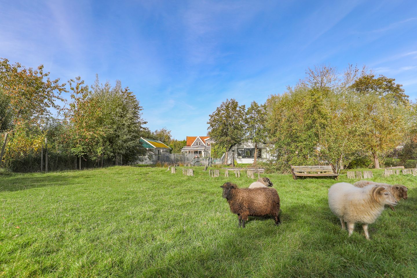 Foto 1 van Oosterdijk 34-E