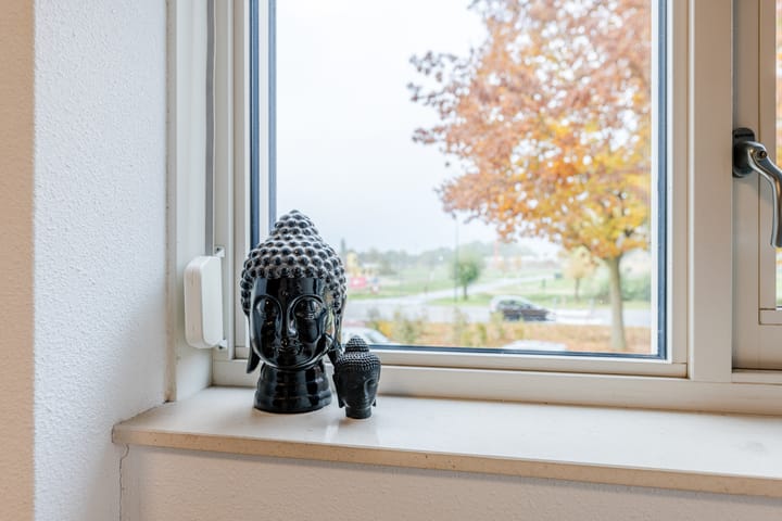 Foto 13 van Meidoorn 67