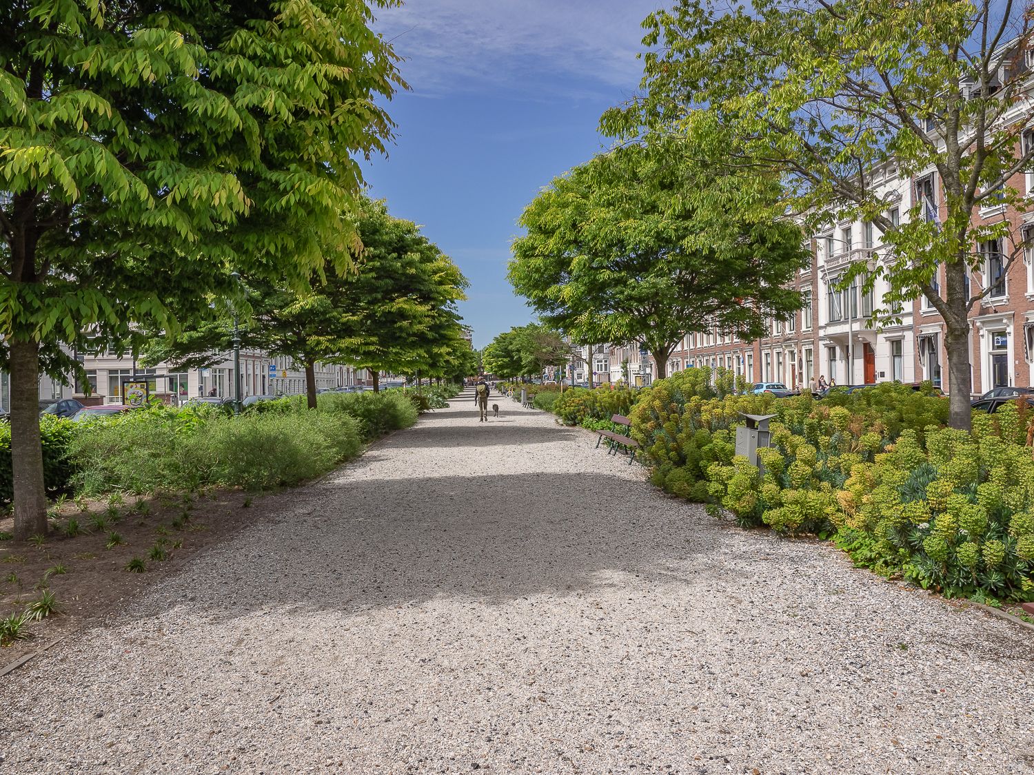 Foto 51 van Javastraat 44-3