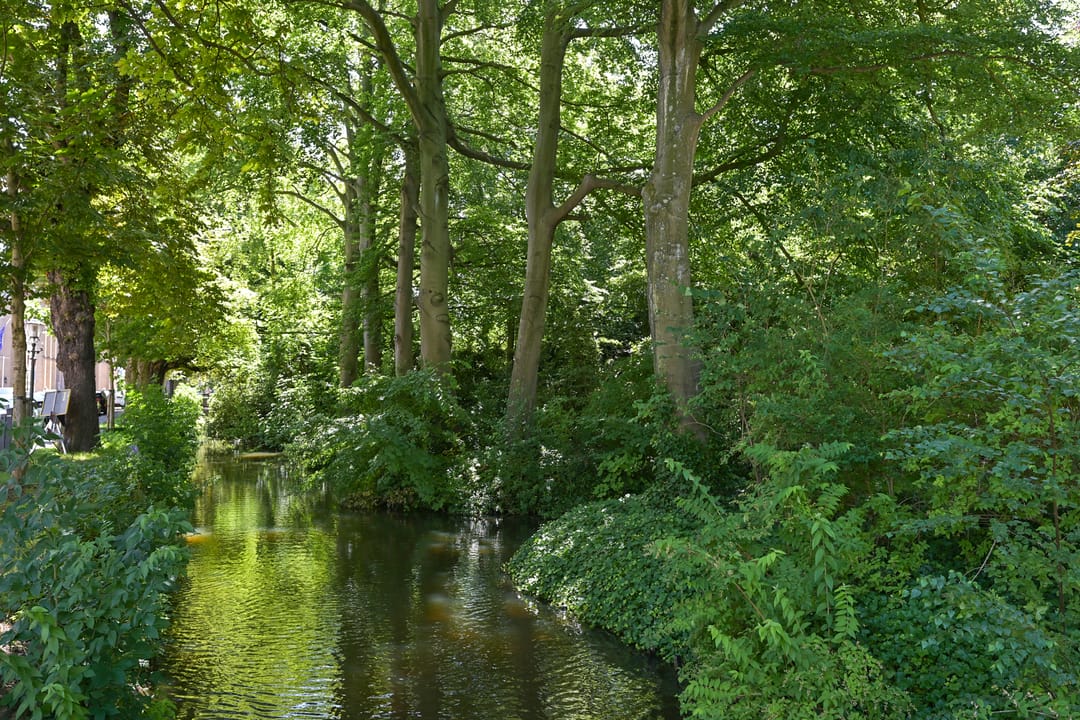 Foto 52 van Javastraat 44-3