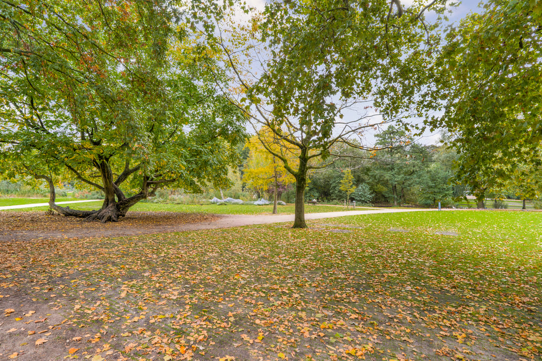 Foto 26 van Eerste Jan van der Heijdenstraat 159-2