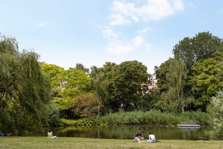 Foto 29 van Eerste Jan van der Heijdenstraat 159-2