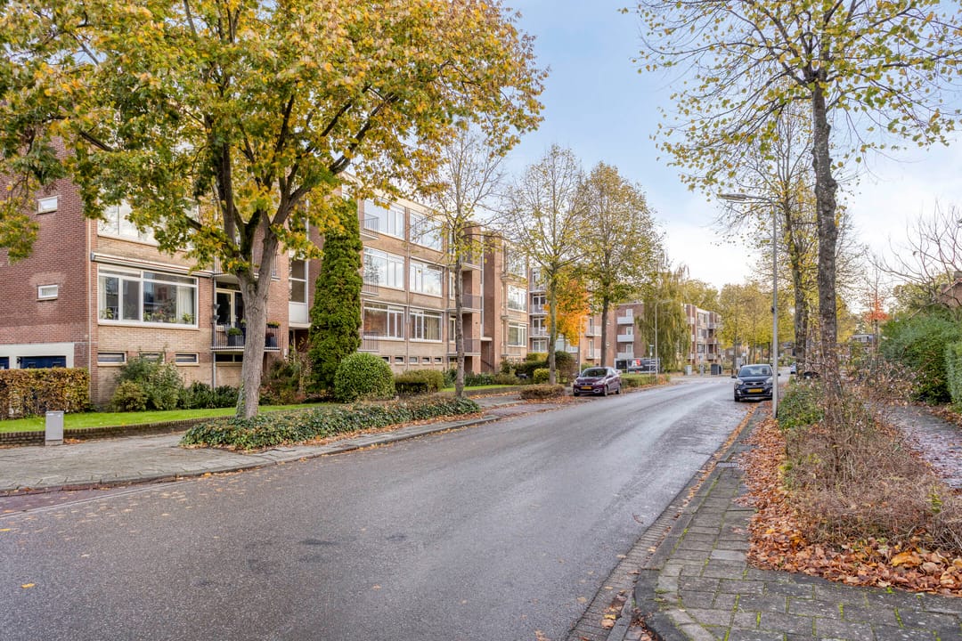 Foto 32 van Joost van den Vondellaan 38