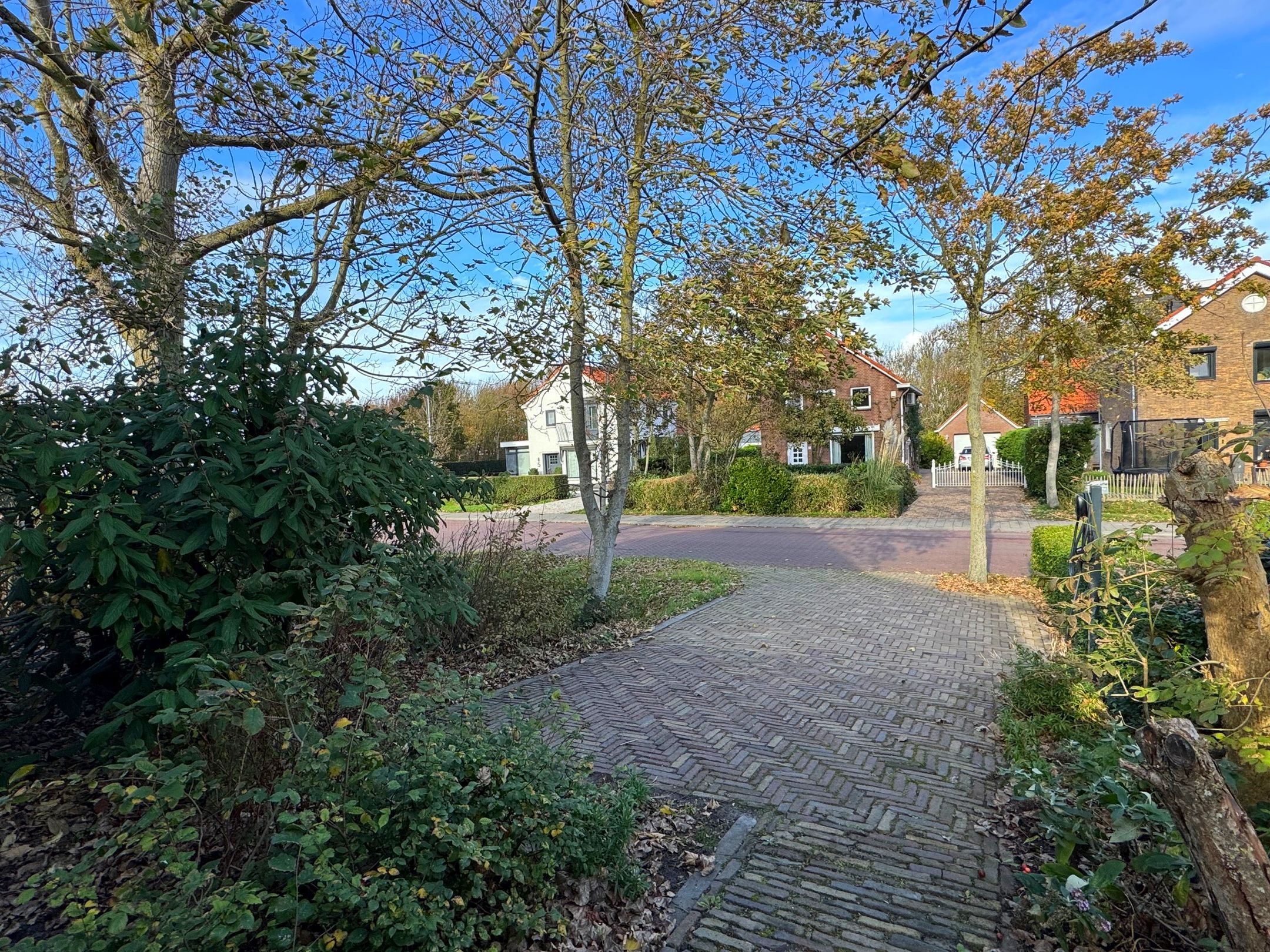 Foto 33 van de Bellink 12