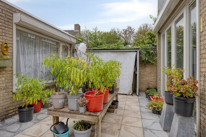 Foto 28 van Drapenierstraat 10