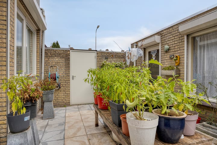 Foto 29 van Drapenierstraat 10