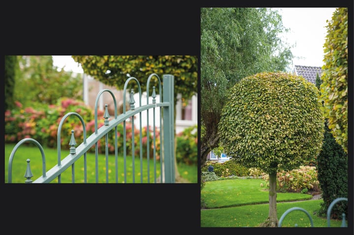 Foto 50 van Dorpsstraat 16