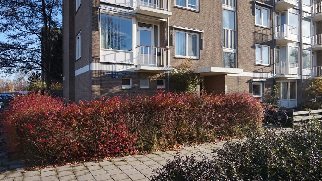 Foto 2 van Johanna Naberstraat 152