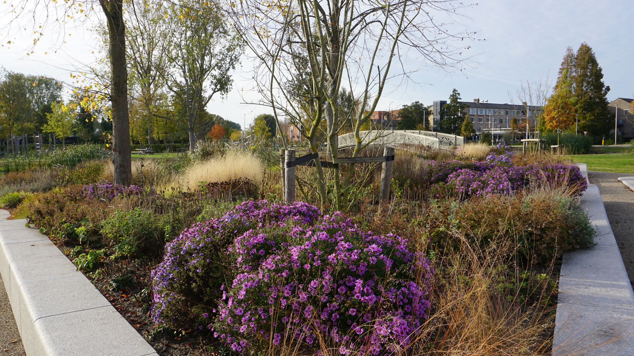 Foto 45 van Johanna Naberstraat 152