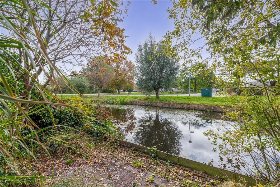 Foto 2 van Wiemers 42