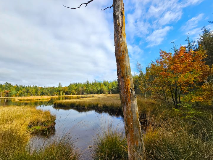 Photo 3 of Alteveersweg 30