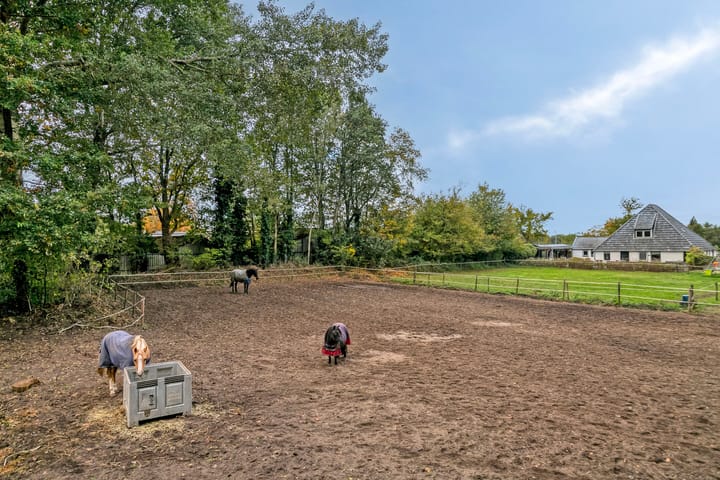 Photo 8 of Alteveersweg 30