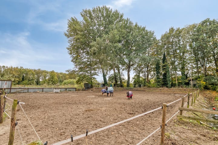 Photo 62 of Alteveersweg 30