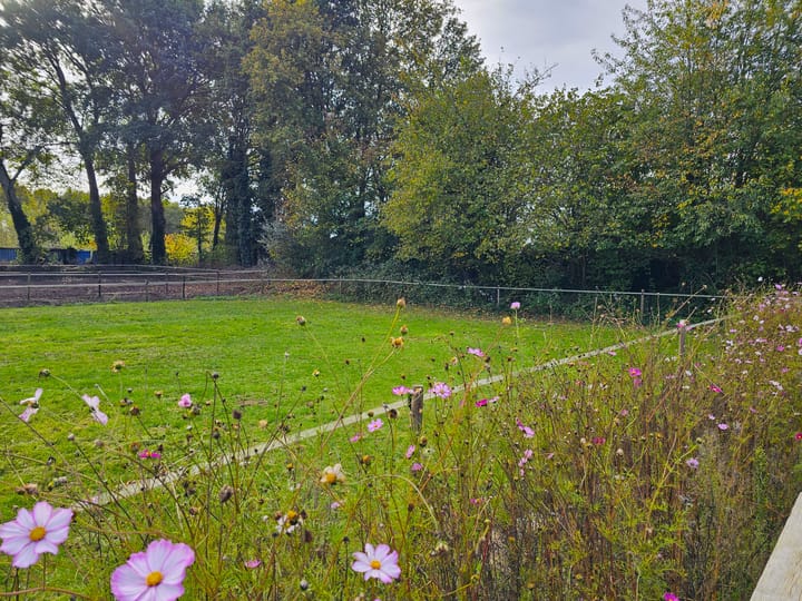 Photo 71 of Alteveersweg 30