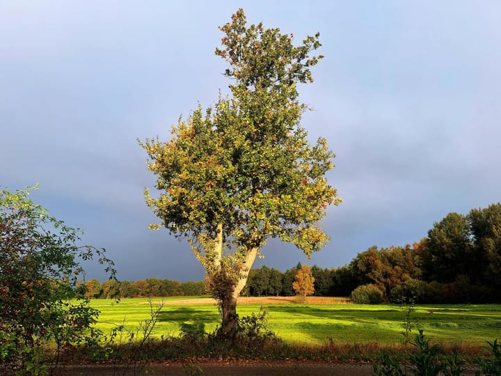 Photo 72 of Alteveersweg 30