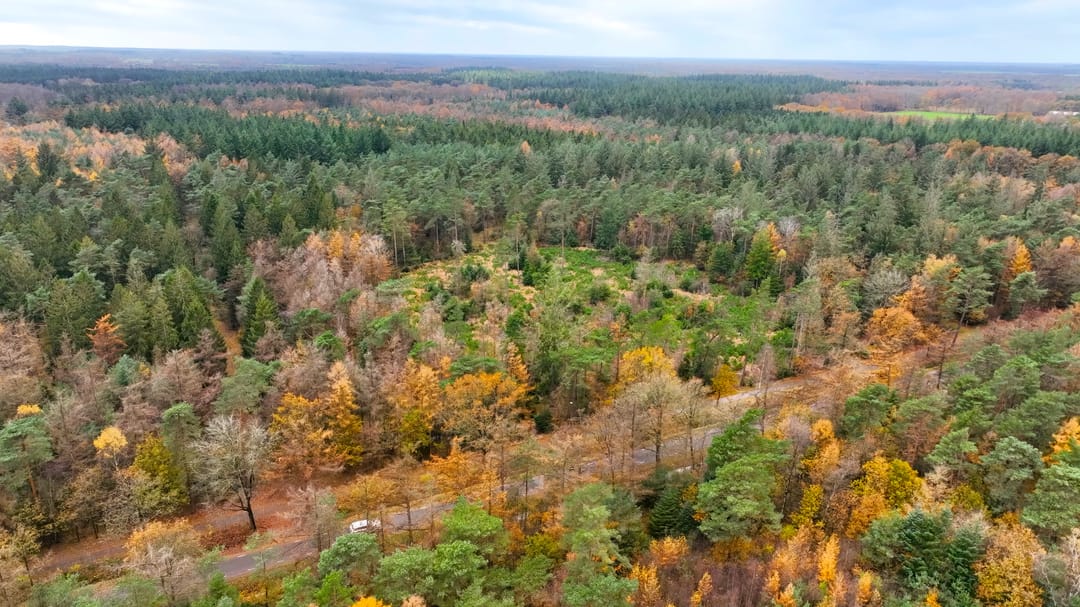 Photo 77 of Alteveersweg 30