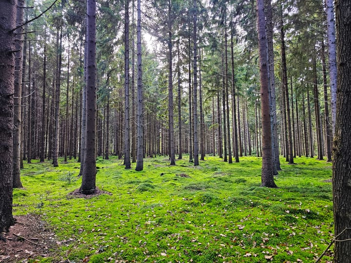 Photo 78 of Alteveersweg 30