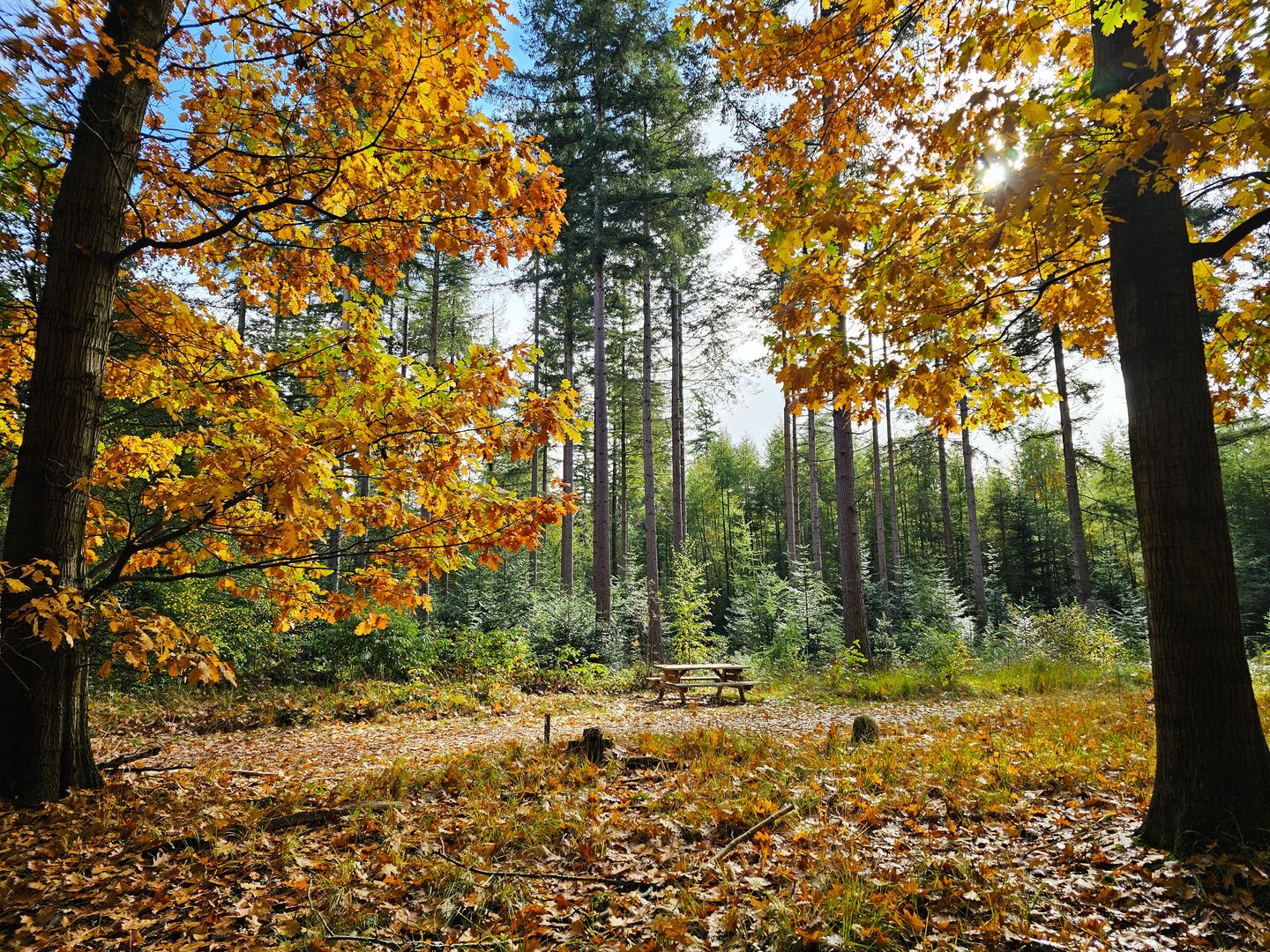Photo 79 of Alteveersweg 30