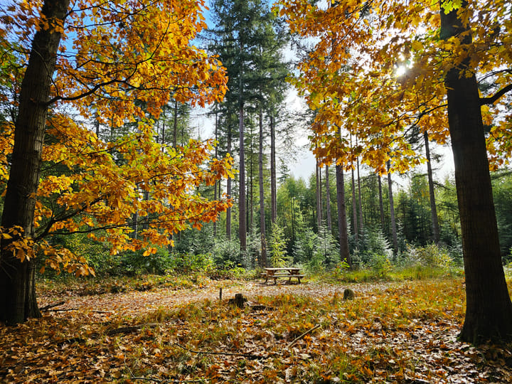 Photo 79 of Alteveersweg 30