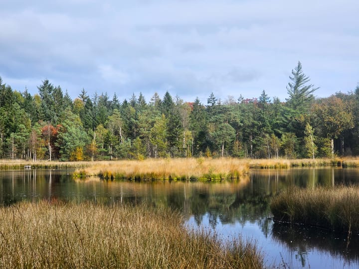 Photo 80 of Alteveersweg 30