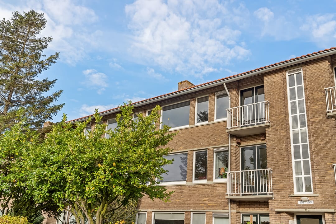 Photo 31 of Ceintuurbaan 107-II