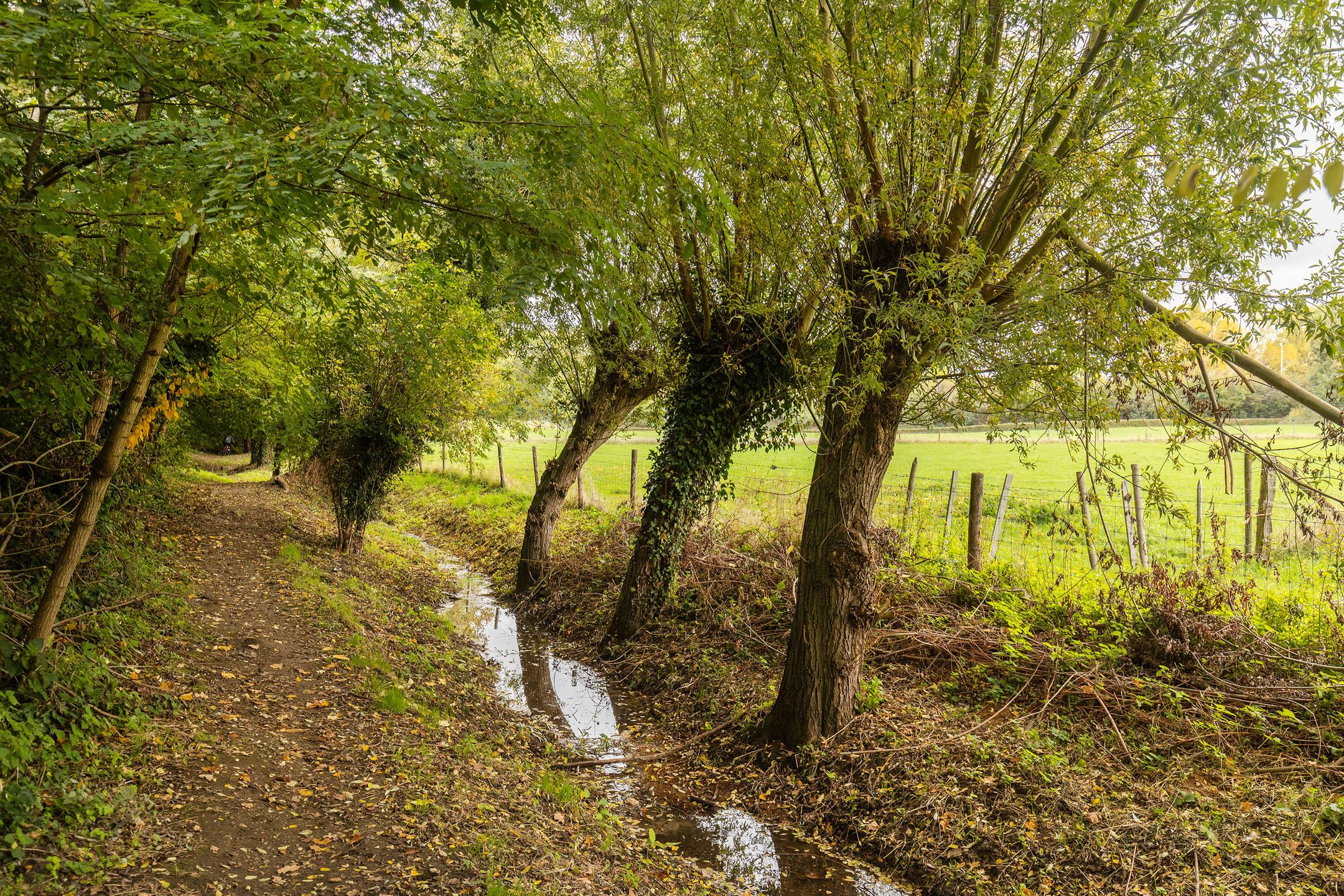 Foto 72 van Kapelbergweg 6