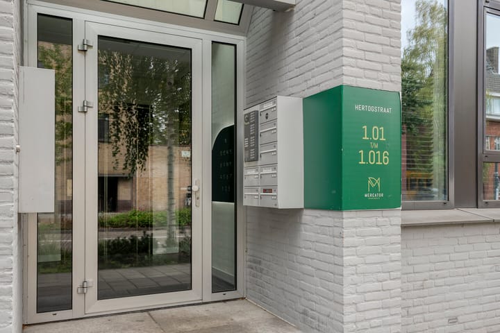 Photo 23 of Hertogstraat 1-010