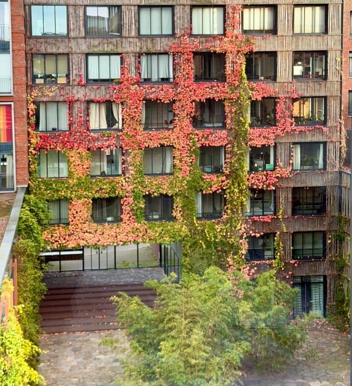 Photo 10 of Westerdok 628