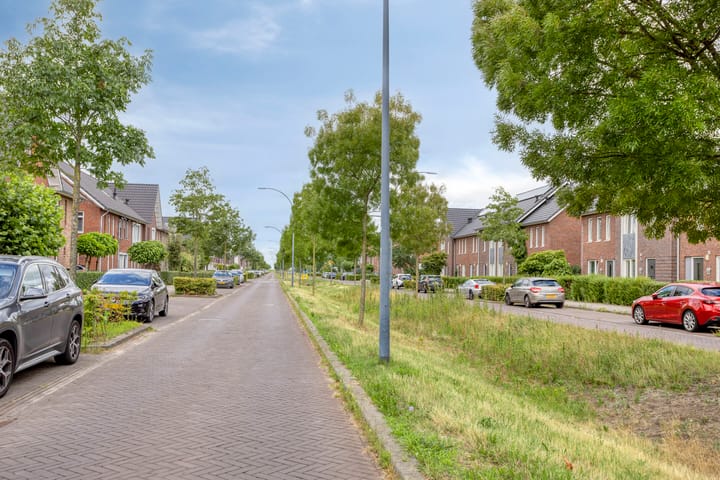 Foto 28 van IJzertijd 13