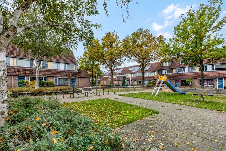 Foto 43 van Oleander 35