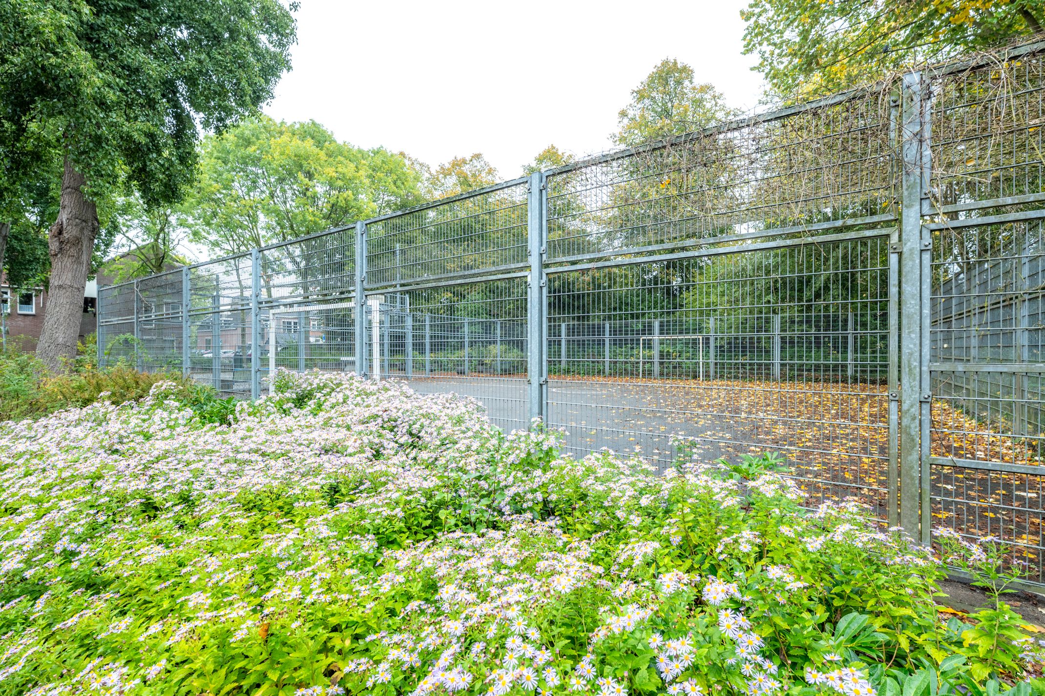 Photo 33 of Bokstraat 59