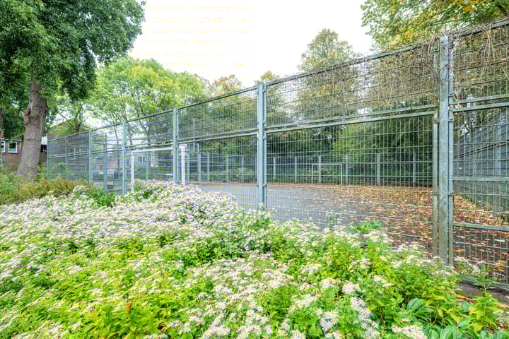 Photo 33 of Bokstraat 59