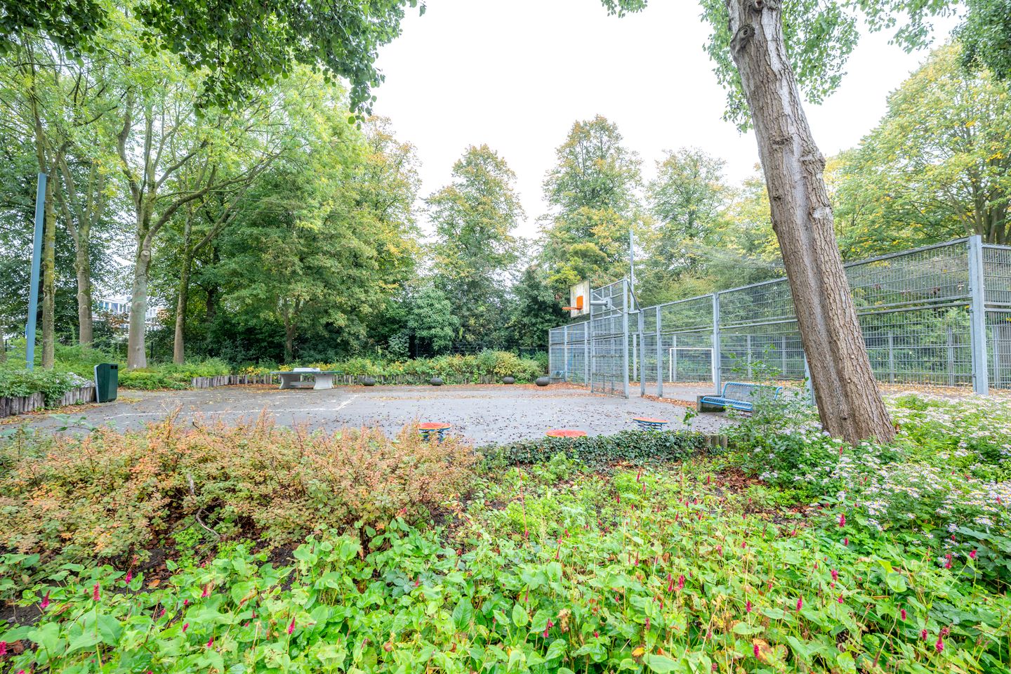 Photo 34 of Bokstraat 59