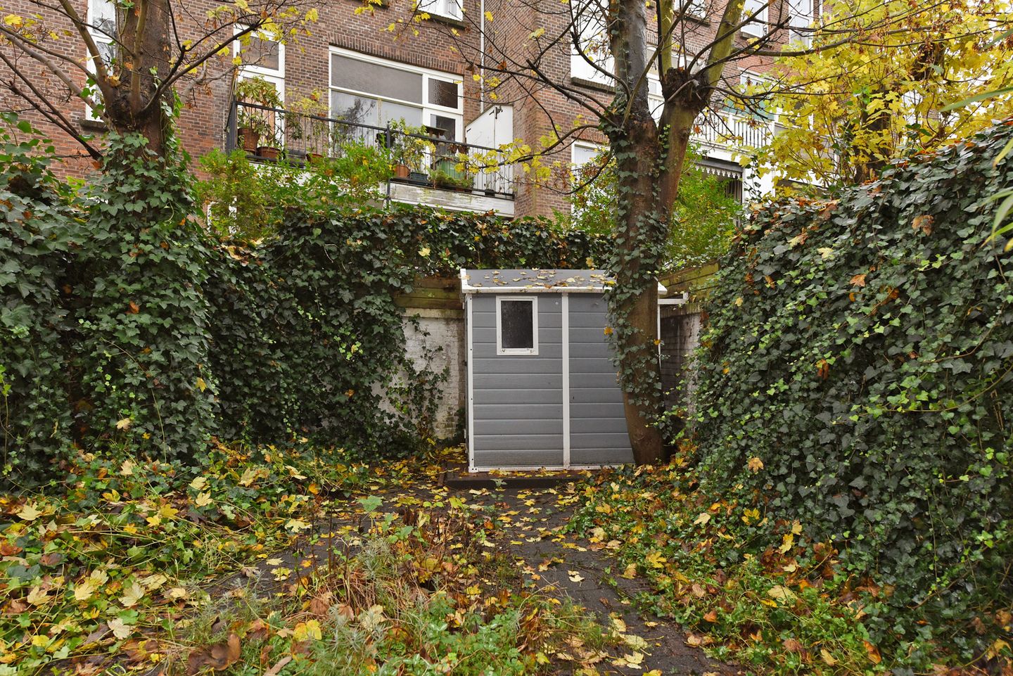 Foto 4 van Cornelis Jolstraat 32