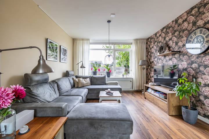 Foto 10 van Pionier 6