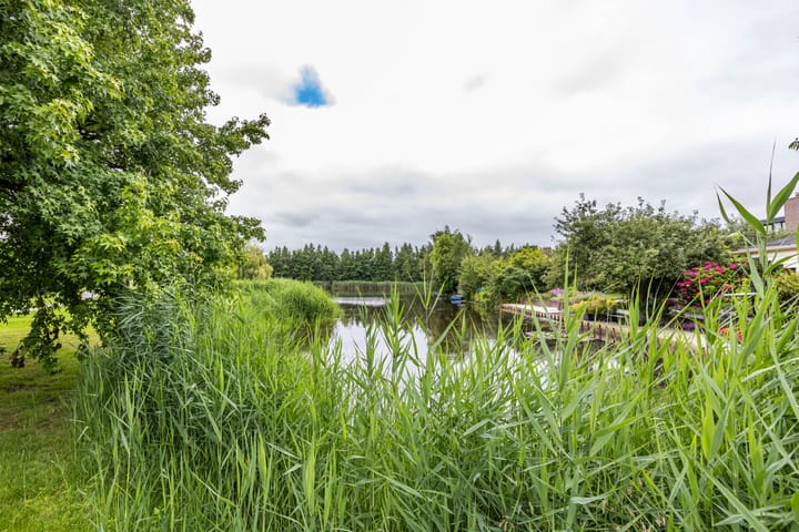 Foto 43 van Pionier 6