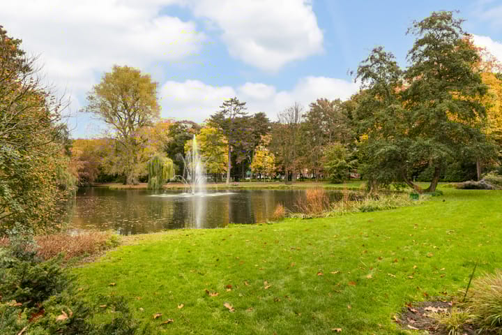 Photo 71 of Jan van Scorelstraat 141