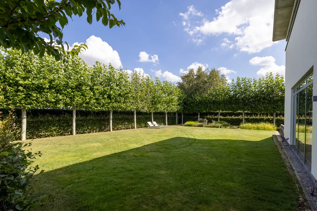 Photo 13 of Moerbeihof 3