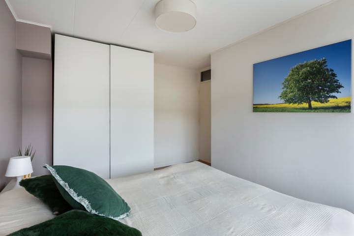 Foto 27 van Prof. dr. T.M.C. Asserweg 23