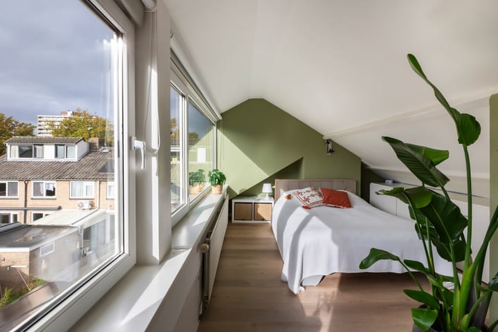 Foto 34 van Prof. dr. T.M.C. Asserweg 23