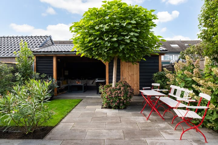 Foto 44 van Prof. dr. T.M.C. Asserweg 23